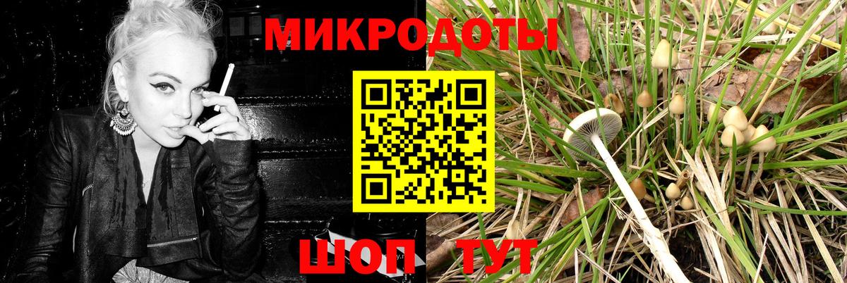 Галлюциногенные грибы GOLDEN TEACHER  Псилоцибиновые грибы Magic Shrooms  Кувандык  Вход с VPN 