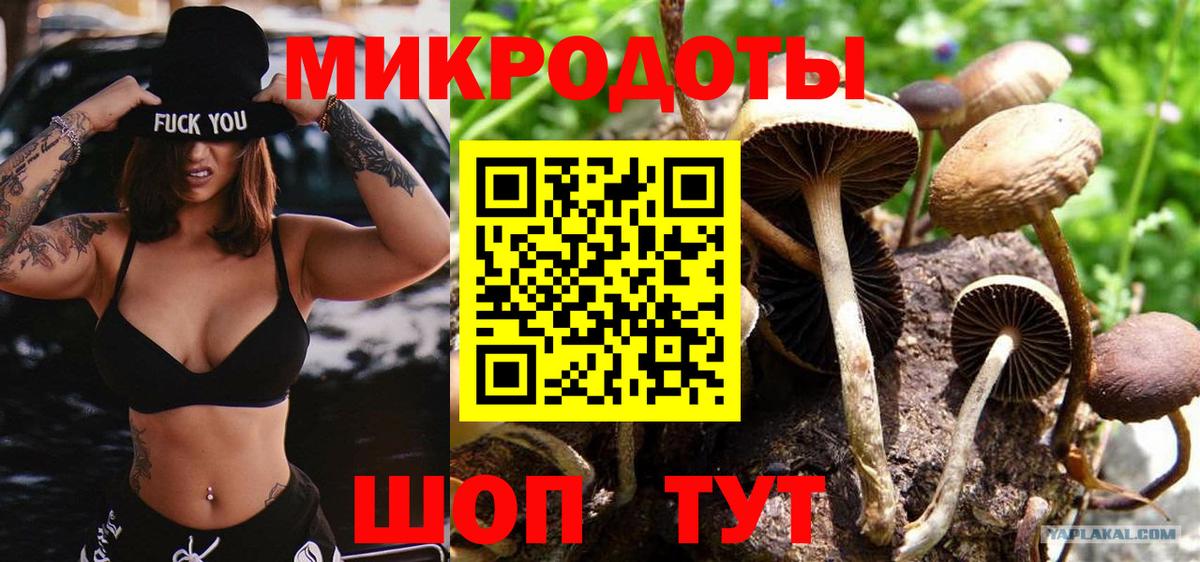 Галлюциногенные грибы Cubensis Кувандык