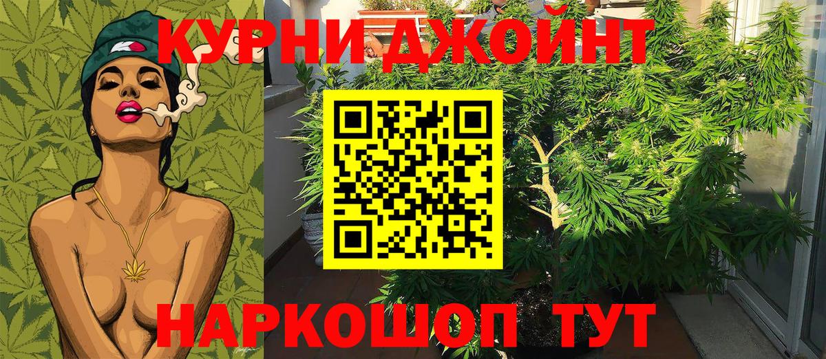Канабис гибрид Кувандык